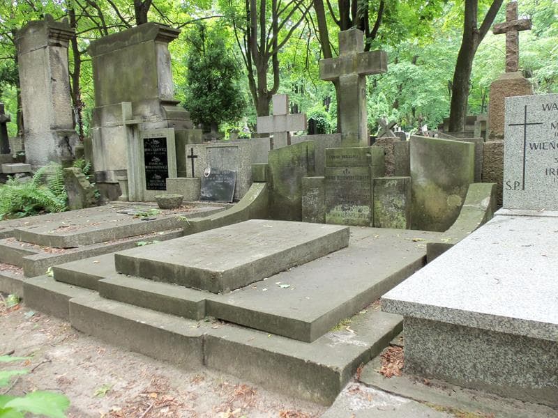 Zdjęcie grobu Lidja Janowicz (1)