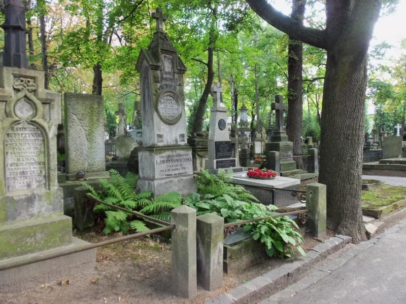 Zdjęcie grobu Apolonia Dąbrowska (1)