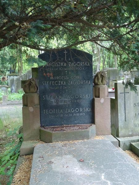 Zdjęcie grobu Stefeczka Zagórska (2)
