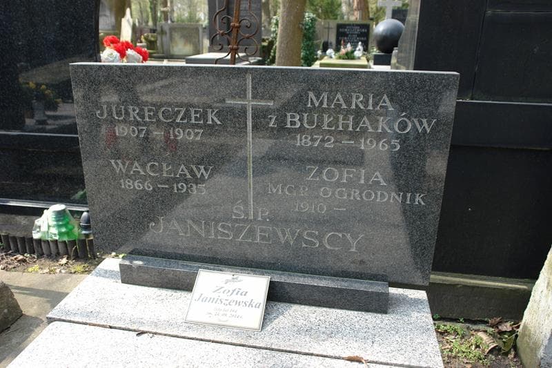 Zdjęcie grobu Jureczek Janiszewski (1)
