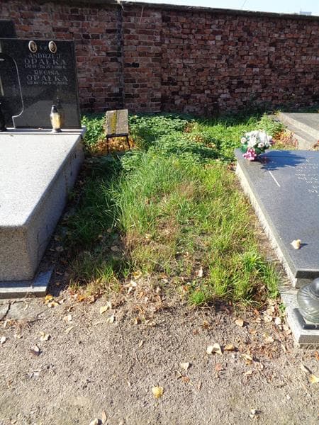 Zdjęcie grobu: Pole Grobowe