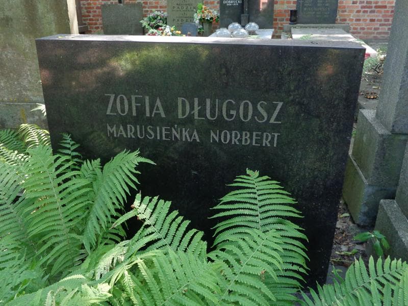 Zdjęcie grobu Norbert Długosz (2)