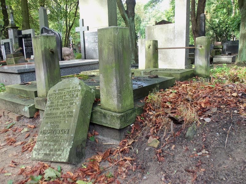 Zdjęcie grobu Teofil Kołomyjski (2)