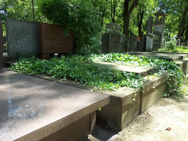 Zdjęcie grobu Maria Kozłowska (1)