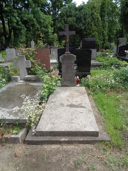 Zdjęcie grobu Zygmunt Gorzeński (1)