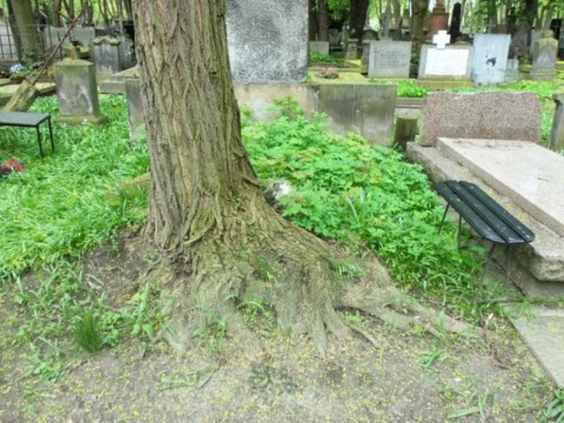 Zdjęcie grobu: Józefa Miecznikowska