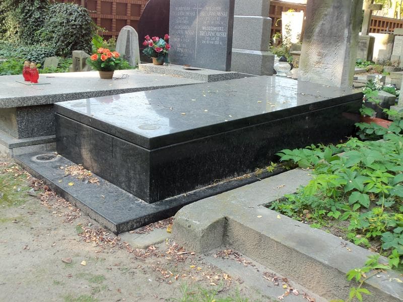 Zdjęcie grobu Olgierd Budrewicz (2)