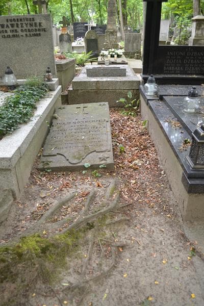 Zdjęcie grobu: Julia Górecka