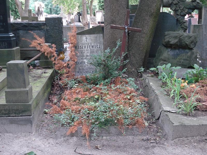 Zdjęcie grobu: Wanda Józefa Iwaszkewicz