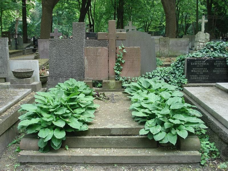 Zdjęcie grobu: Balbina Szczepkowska
