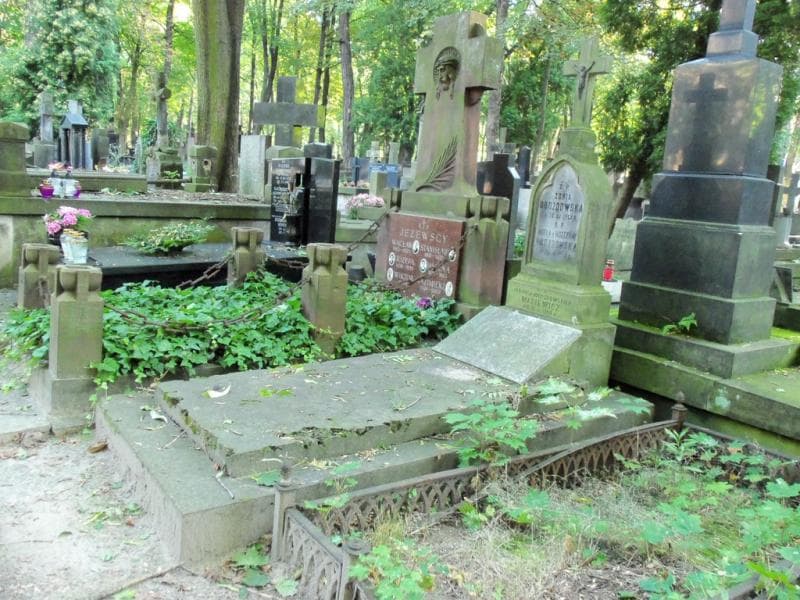 Zdjęcie grobu Jadwiga Wasiewicz (1)