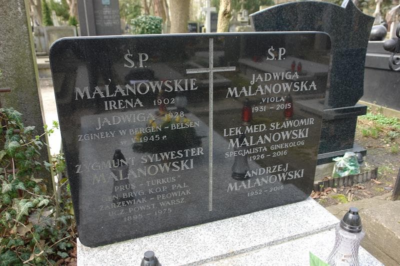 Zdjęcie grobu Zygmunt Sylwester Malanowski (1)