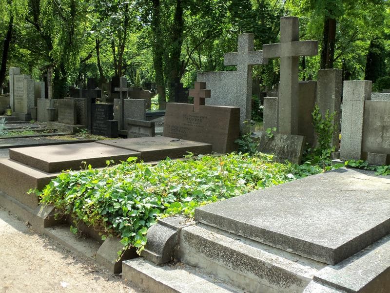 Zdjęcie grobu Wincenty Jordański (1)