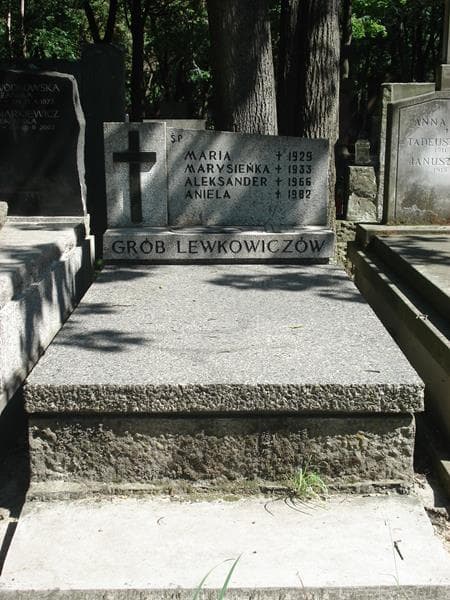 Zdjęcie grobu: Aleksander Lewkowicz