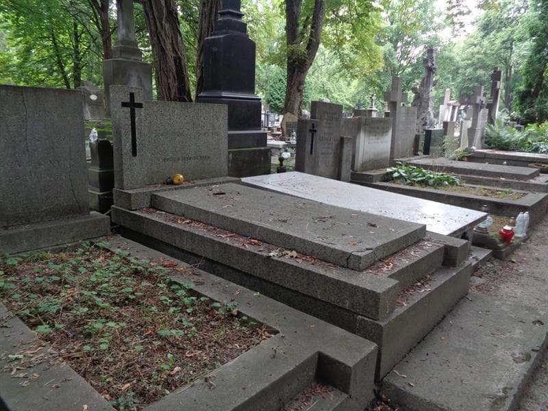 Zdjęcie grobu: Bronisław Boczek