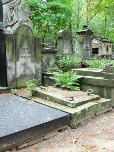 Zdjęcie grobu Sławińscy (1)