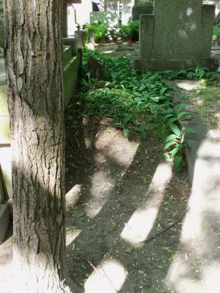 Zdjęcie grobu: Pole Grobowe