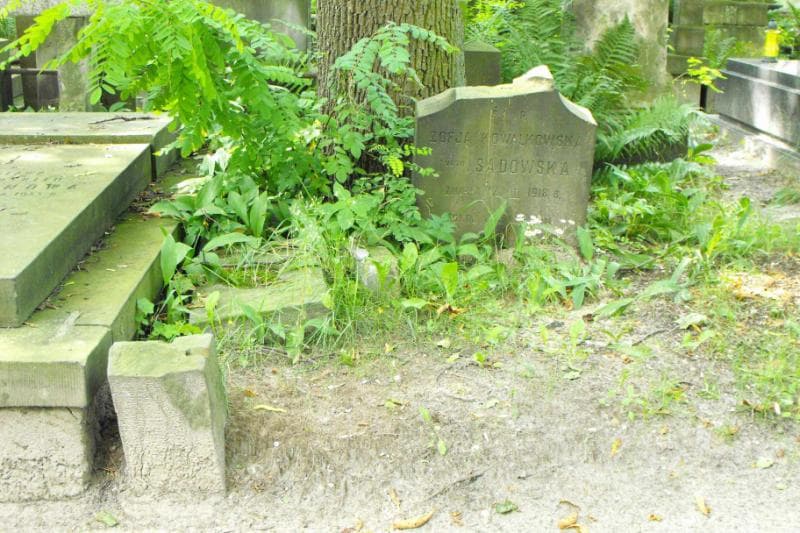 Zdjęcie grobu: Marceli Ostrowski