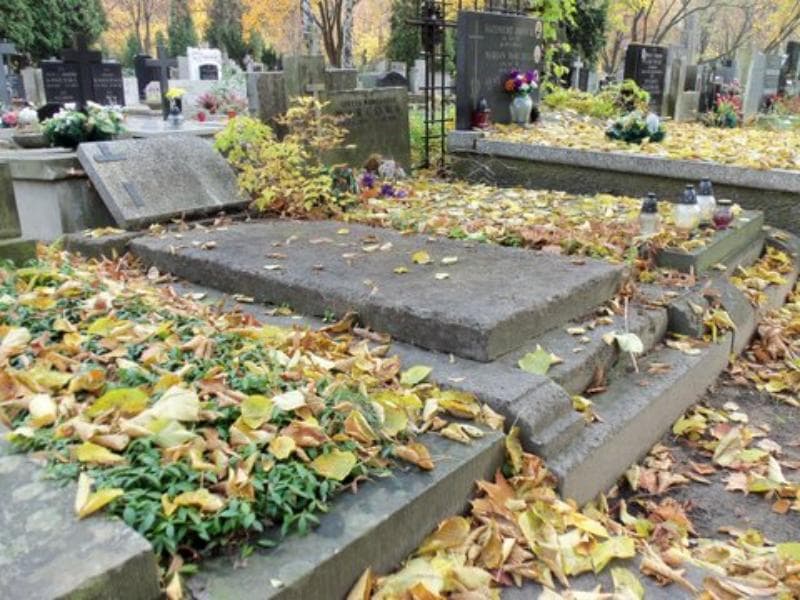 Zdjęcie grobu Franciszek Rybacki (1)
