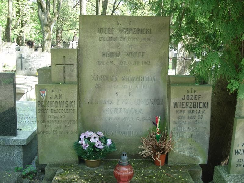 Zdjęcie grobu Henio Wolff (1)