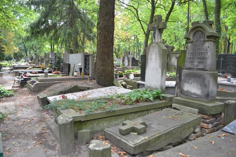 Zdjęcie grobu: Mieczysława Tomaszewska