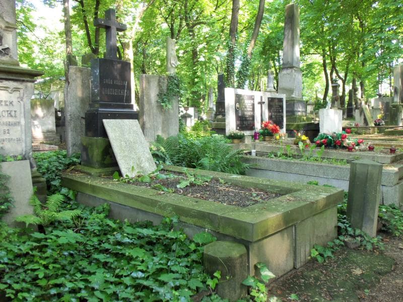 Zdjęcie grobu Feliks Drozdzicki (1)