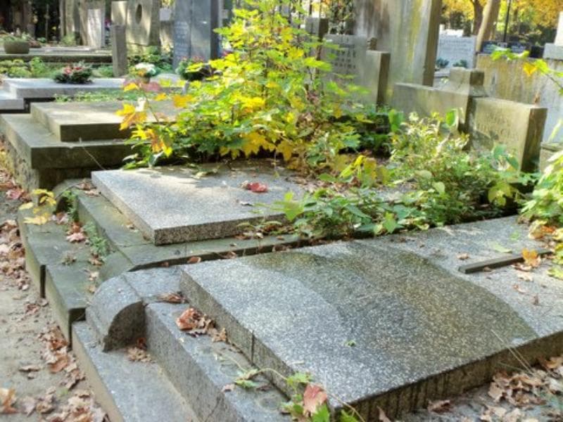 Zdjęcie grobu Halina Ludwicka (1)