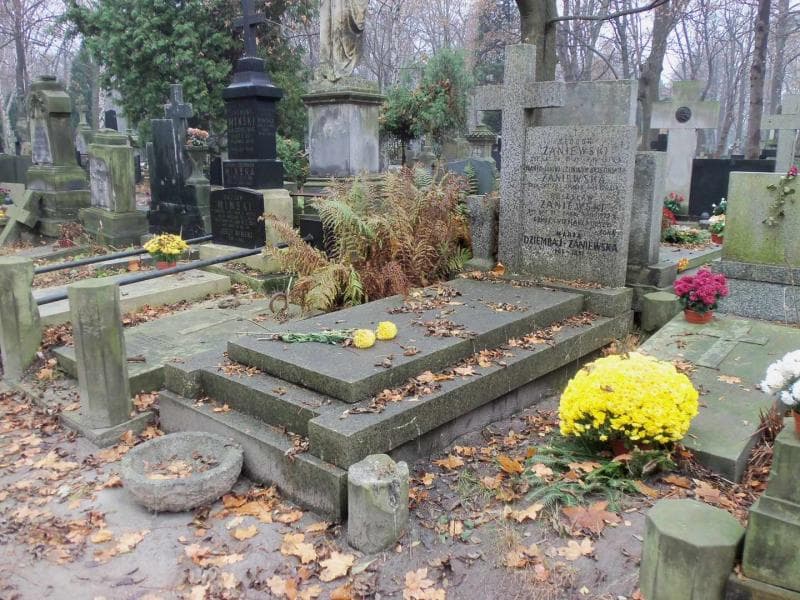 Zdjęcie grobu Maria Dziembaj - Zaniewska (1)