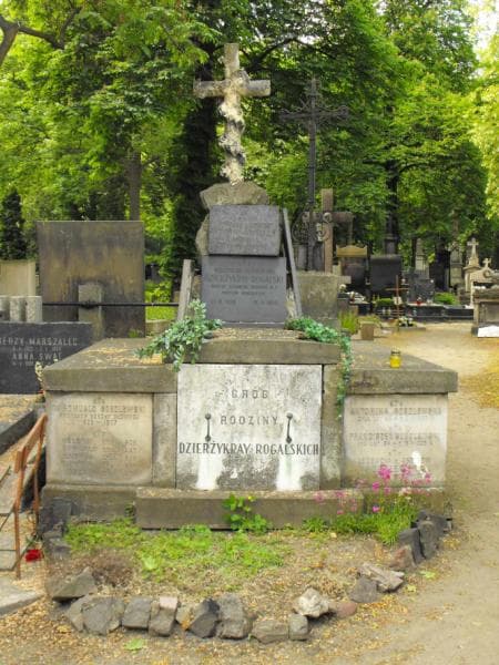 Zdjęcie grobu: Ludwik, Gustaw Dzierżykray-Rogalski