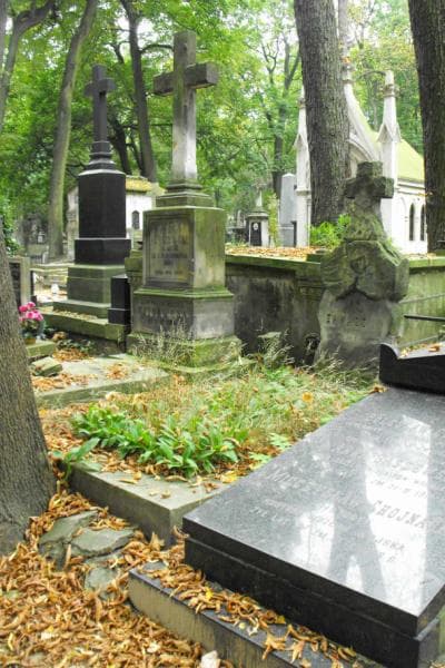 Zdjęcie grobu Józef Zawadzki (1)