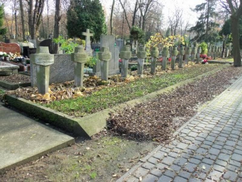 Zdjęcie grobu Janina Krzyżanowska (1)