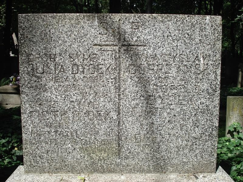 Zdjęcie grobu Władysław Dobrzyński (1)