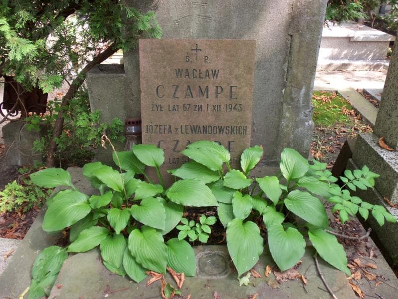 Zdjęcie grobu Józefa Czampe (2)