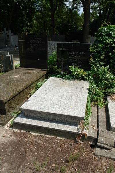 Zdjęcie grobu Maria Laubsztejn (1)