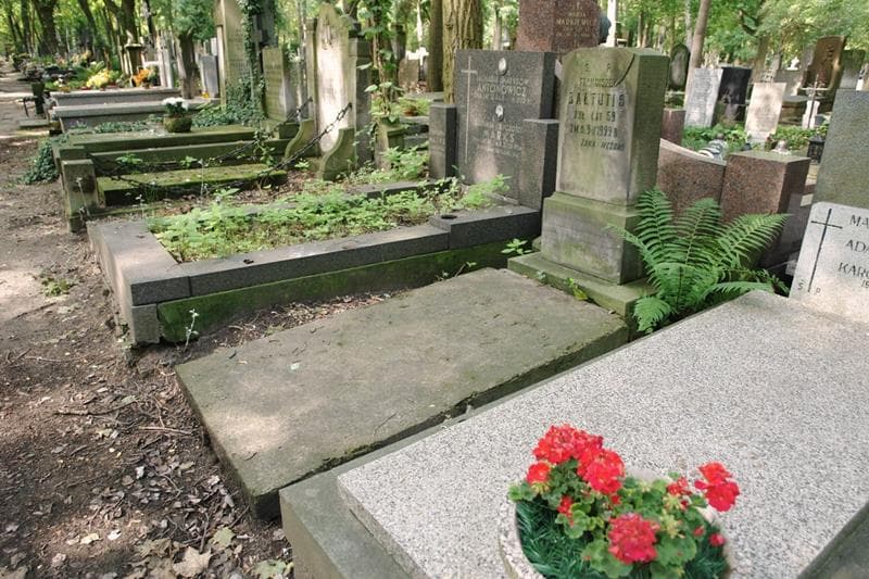 Zdjęcie grobu: Julianna Bałtutis