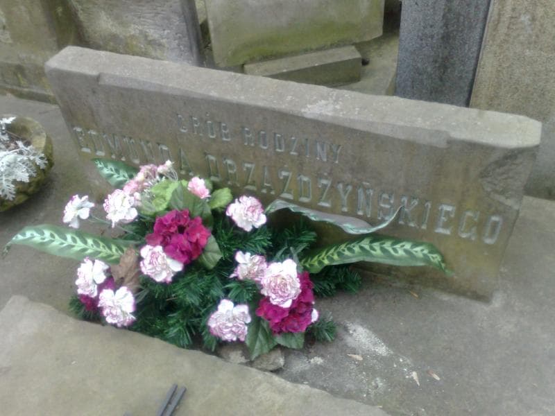 Zdjęcie grobu Zofia Drzażdżyńska (1)