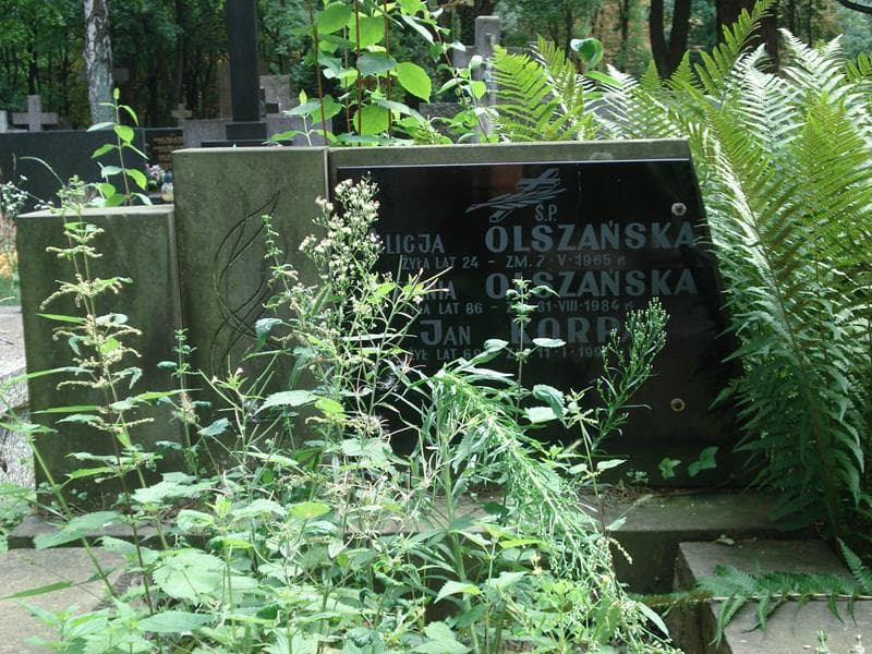 Zdjęcie grobu Alicja Olszańska (1)