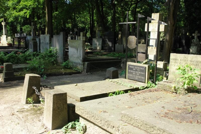 Zdjęcie grobu Henryka Rzewuska (1)