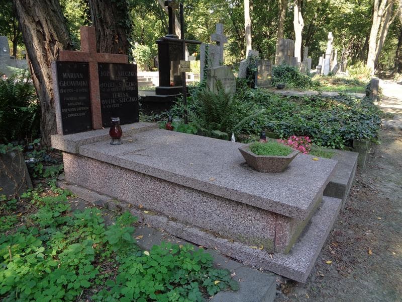 Zdjęcie grobu: Józef Sieczko