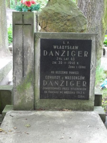 Zdjęcie grobu Władysław Danzinger (2)