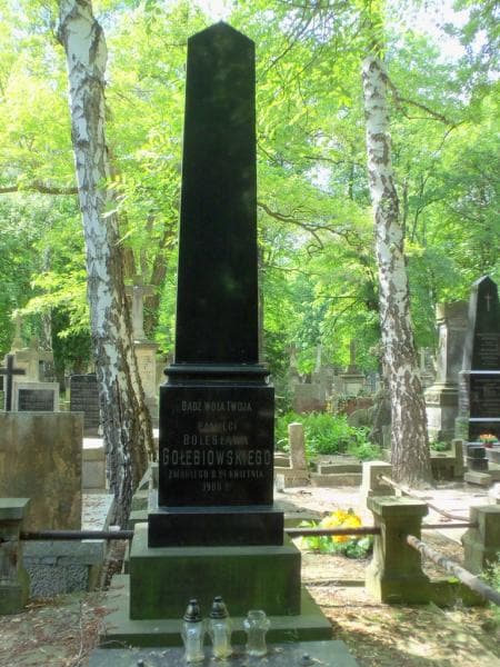 Zdjęcie grobu Stanisława Gołębiowska (2)