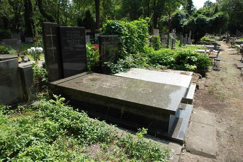Zdjęcie grobu: Sylwester Dolega