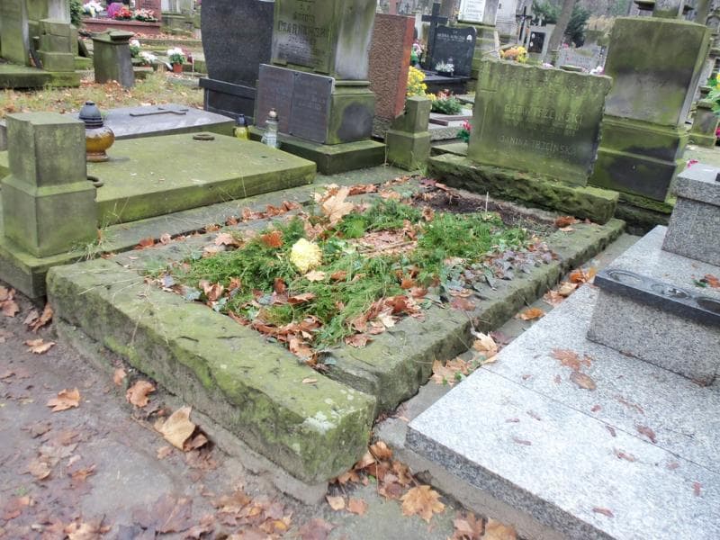 Zdjęcie grobu Janina Trzcińska (1)
