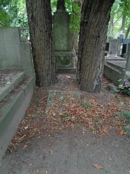 Zdjęcie grobu Antonina Grądzka (1)