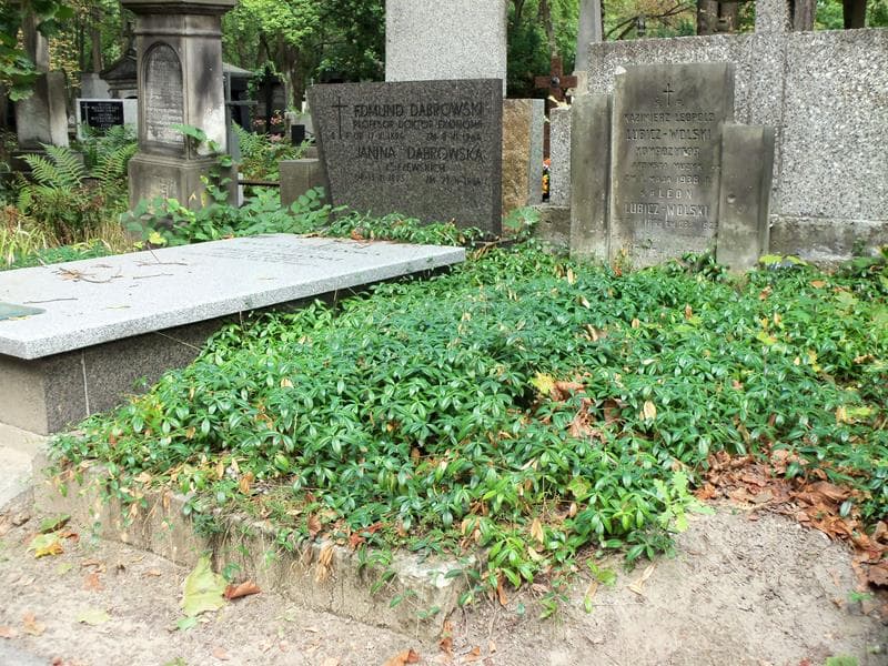 Zdjęcie grobu Kazimierz Leopold Lubicz-Wolski (1)