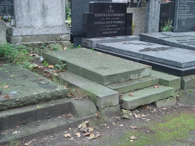 Zdjęcie grobu Wanda Putryńska (1)