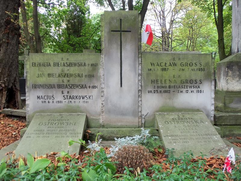 Zdjęcie grobu Jan Bielaszewski (2)
