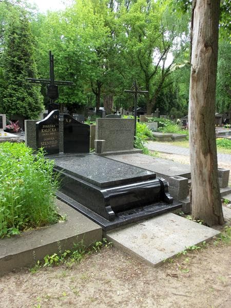 Zdjęcie grobu Jadwiga Szenfeld (1)