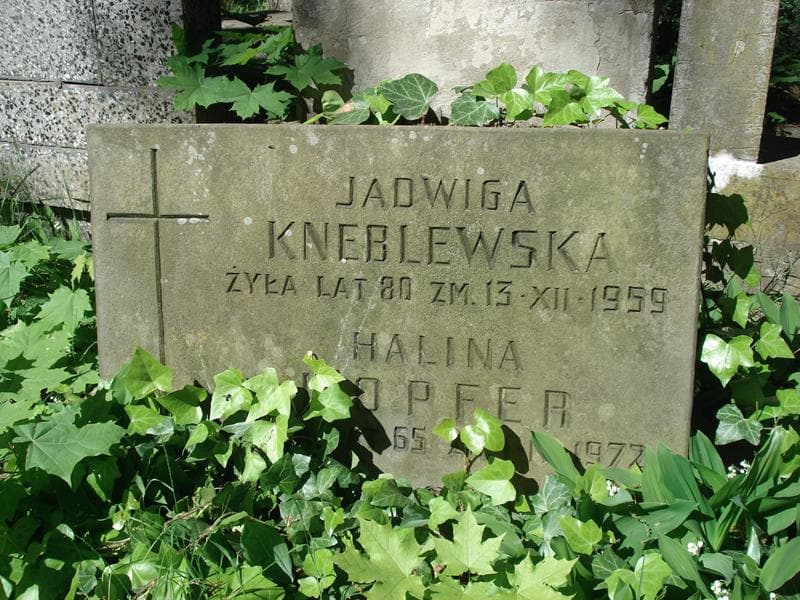 Zdjęcie grobu Jadwiga Kneblewska (1)