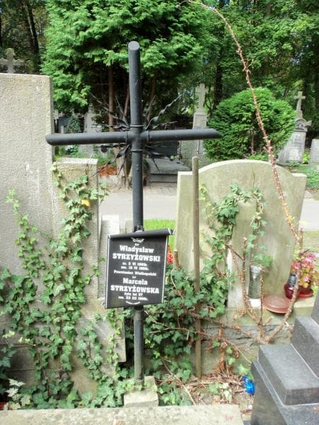 Zdjęcie grobu Władysław Strzyżowski (2)